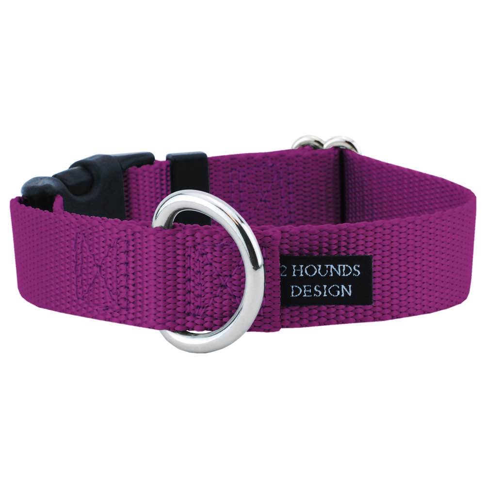 Dog Buckle Collar Matches Freedom No Pull Harness